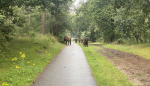 Foto nr 28