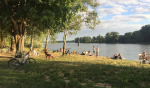 Foto nr 13