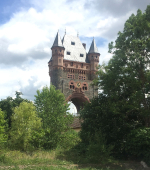 Foto nr 15