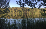 Foto nr 9
