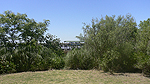 Foto nr 59