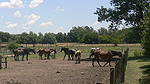 Foto nr 71