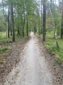 Foto nr 32