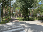 Foto nr 50