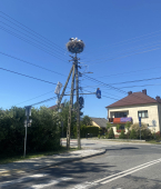 Foto nr 73
